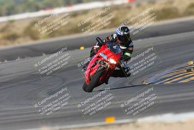 media/Oct-05-2024-Race Pace (Sat) [[aa7b44e117]]/2-Turn 11 (815am)/